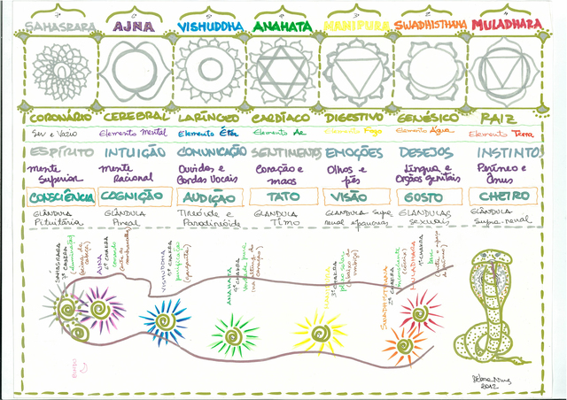 Resumo integrativo chacras display